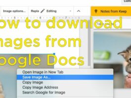 Download Images from Google Docs