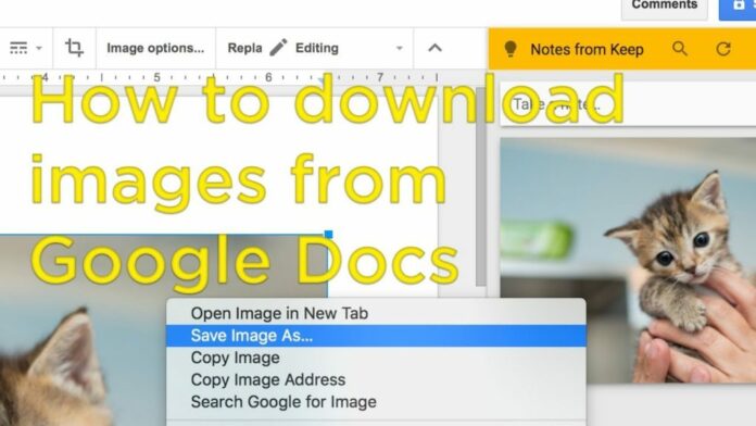 Download Images from Google Docs