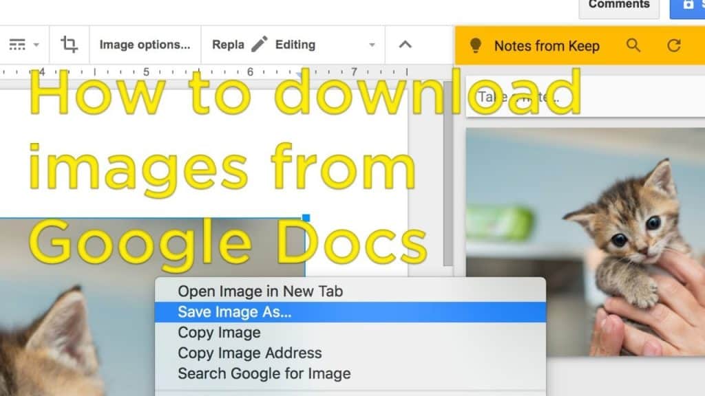 Download Images from Google Docs