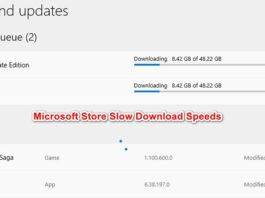 Microsoft store downloads slow