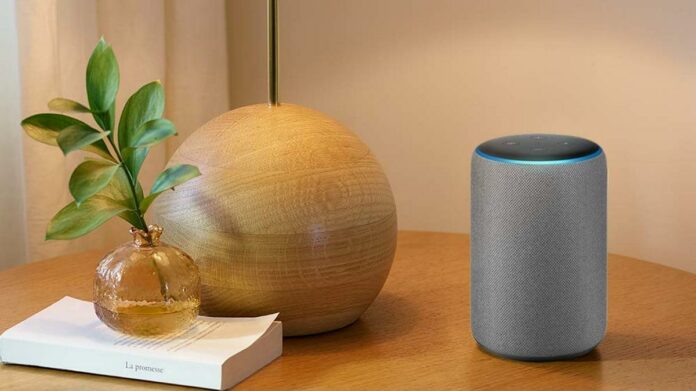 google home and amazon echo