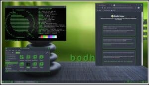 Bodhi Linux