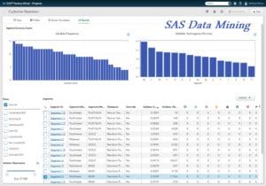 SAS Data Mining