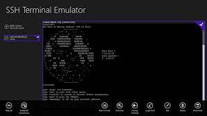 SSH Terminal Emulator