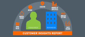 Customer Data Insight