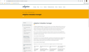 Adaptive Metadata Manger