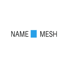 Name Mesh