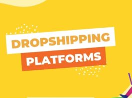 dropshipping platforms