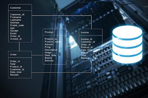 6 Reasons You Need a Database Management System