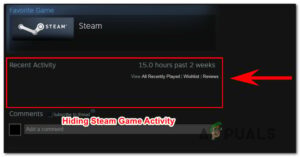 Hide steam Activity from Privacy setting