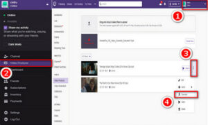 How to download twitch vods