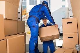 What is a professional mover
