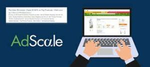 Adscale's Resources and Reviews