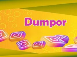 dumpor Instagram story viewer