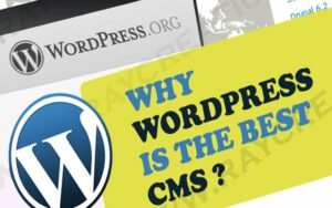 Why is WordPress the best CMS