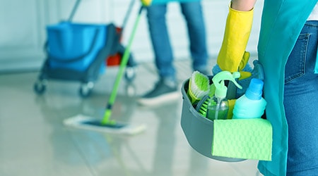 Professional Cleaning Service