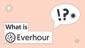 Everhour Features