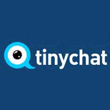 TinyChat