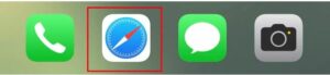 Open Safari browser on your iPhone