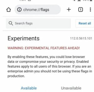 flags in the search bar