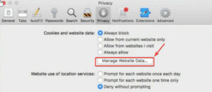 Click Manage Website Data under Cookies and Website Data
