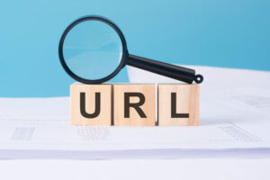 Verify The URL