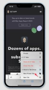 Tap New Private Tab in the pop-up menu